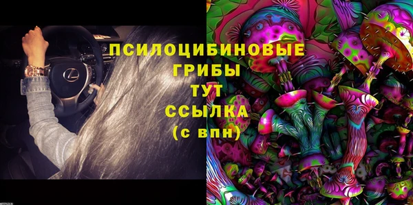 каннабис Белокуриха