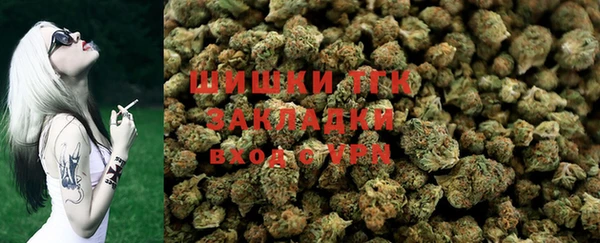 хмурый Богородицк