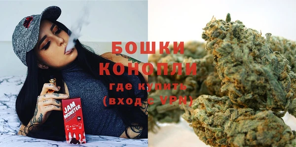 сатива Богданович