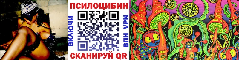 Псилоцибиновые грибы Cubensis  Белоозёрский 